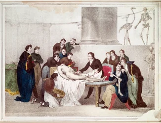 Lekcja anatomii (litografia)