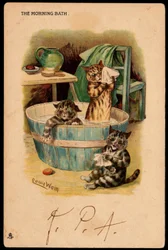 Poranna kąpiel. Zwierzęta w ludzkiej postawie. Koty kąpiące się w misce. Pocztówka. Chromolithograph Louisa Waina (1860-1939), angielskiego artysty znanego z przedstawiania kotów o dużych oczach. Początek XX wieku. Zbierać