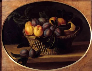 Martwa natura z Peches i śliwkami Obraz Louise Moillon (1610-1696) XVII-wieczne słońce. 0,37x0,46 m²