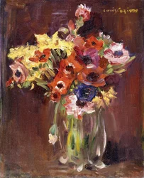 zawilce; Zawilec, 1910