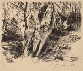 Brzozy w Tiergarten, 1920-1921.