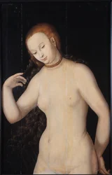 Wenus, między 1527 a 1531.