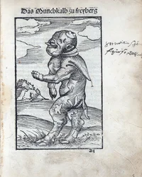 Mnich Cielę z Freiberga (Das Moenchkalb zu Freiberg), autorstwa Cranacha, Lucasa Starszego (1472-1553). drzeworyt