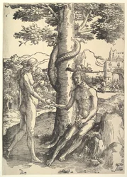 Upadek człowieka, Adama i Ewy, ca. 1514.