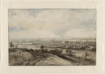 Panoramiczny pejzaż rzeczny z wierzbami Pollard