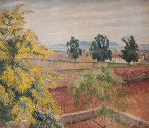 Mimoza Lawendau, 1923.