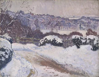 Dorking Road, Coldharbour, w śniegu