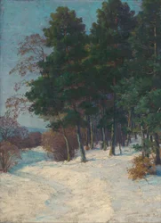 Las zimą