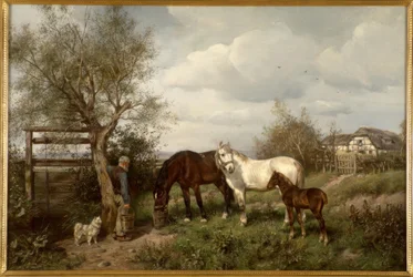 L.Fay, W kraju