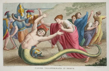 Kadmos przemieniony w węża, czyli Cadmo Transformato in Serpe, księga IV, ilustracja z Metamorfoz Owidiusza, Florencja, 1832