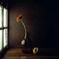 Nastrojowa martwa natura w oknie