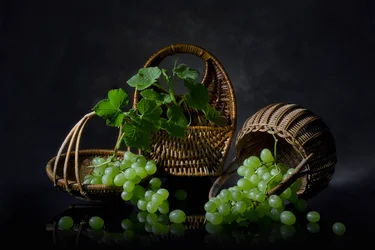 Obfita martwa natura z winogronami