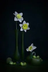 Narcyzy, zielona martwa natura