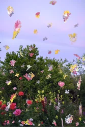 Abstrakcyjne kwiaty, 2019 (farba akrylowa na archiwalnym druku pigmentowym)