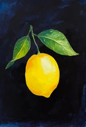 Żywa gałązka cytryny
