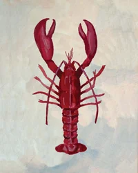 Żywy „Red Lobster”