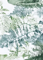 Botaniczne motywy paproci