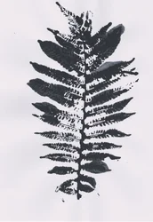 Elegancki liść Fern