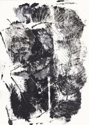 Monochromatyczne impresje botaniczne