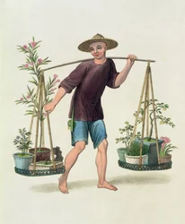 Porter z drzewami owocowymi i kwiatami, płyta 16 z filmu „The Costume of China”, ryt. J. Dadley, 1800