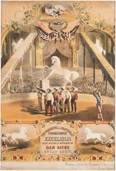 Wspaniały i pięknie wytresowany koń Excelsior, ok. 1840 (chromolitho)