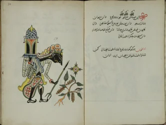 Wukon Jawa, MS 41 str.34, zdjęcie 17, 1830 r.