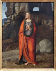 Magdalena pokutująca, obraz Marco Basaiti (ok. 1470-po 1530). Fotografia, KIM Youngtae, Lyon, Muzeum Sztuk Pięknych w Lyonie.