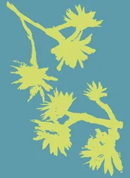 Succulent_2, 2022 (tusz na papierze)
