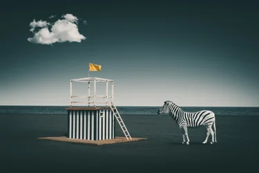 Surrealistyczna zebra na plaży