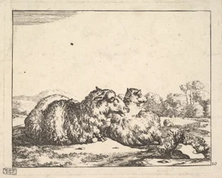 Owce, z zestawu 16 talerzy, 1664.