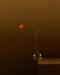 Minimalistyczny pomarańczowy kwiat