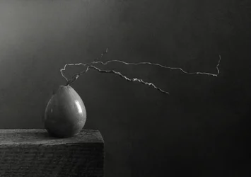 Monochromatyczna gruszka i gałąź