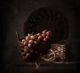 Winogrona Dark Harvest