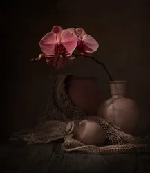 Martwa natura z ciemną orchideą