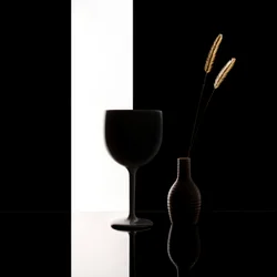 Minimalistyczna czarno-biała martwa natura