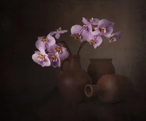 Martwa natura z fioletową orchideą