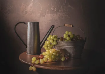 Zbiory winogron w stylu vintage