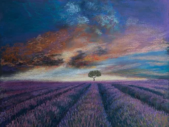 Lawendowe pola Normandii, 2020 (pastel)