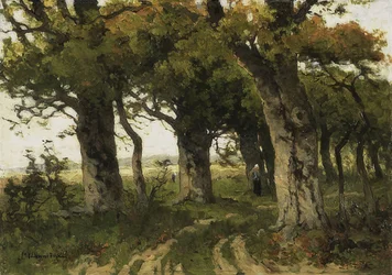 Aleja Dębowa późnym latem. 1880-1900