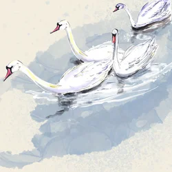 Hyde Park Swans, 2021 (akwarela na papierze)