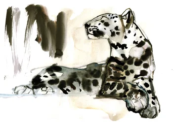 Lampart arabski, 2008