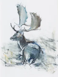 Buck in the Grass, 2006 (węgiel i conte na papierze)
