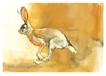 Cape Hare, 2010 (olej na papierze)