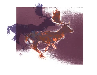 Fallow Bucks (pomarańczowoliliowy), 2015, (sitodruk)