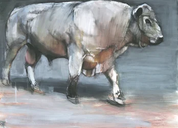 Fresno, Galloway Bull (media mieszane na papierze)