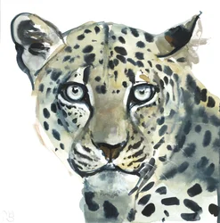Lampart, 2015, (akwarela na papierze)