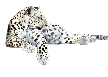 Długa (leopard arabski), 2015, (akwarela i gwasz na papierze)