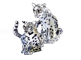 Matka i Syn (Leopardy Arabskie), 2008