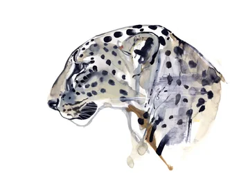 Profil (Lampart Arabski), 2008