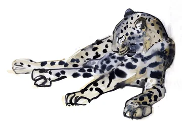 Leopard (leopard arabski), 2008